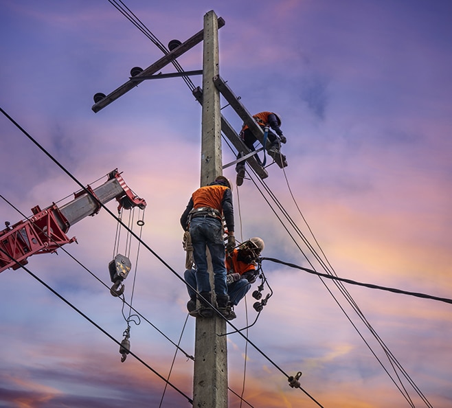 workers workers
